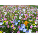 Blumenwiese "Extra Kurz" 7m²